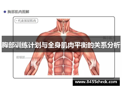 胸部训练计划与全身肌肉平衡的关系分析